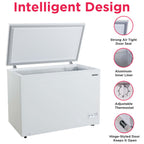 Frigidaire 10 Cu. ft. Chest Freezer, White Garage Ready Deep Freezer for Basement, Kitchen, Bulk Food Storage