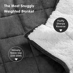 Teler Weighted Blanket for Adult, Fluffy Thick Warm Sherpa & Cozy Flannel Snuggle Heavy Blanket for Sofa Bed Calming, Queen Size (60"x80",20lbs)