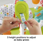 Fisher-Price Fitness Fun Folding Jumperoo Infant Activity Center With Lights And Music - HBM25