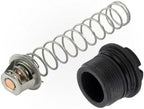 Pentair Thermal Regulator Kit, MasterTemp/Max-E-Therm