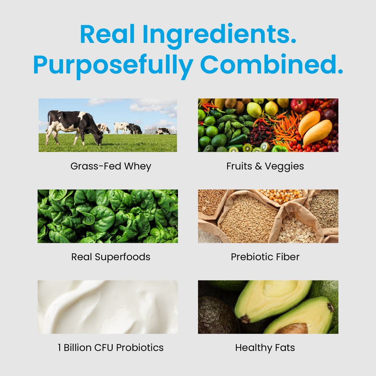 TrueFit High Fiber Protein Powder, Grass-Fed Whey Meal Replacement Shake with Prebiotics, Probiotics, & Organic Superfoods, Keto Friendly, Gluten Free