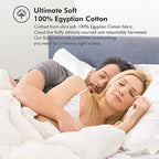 Luxurious King/California King Size Goose Down Fiber Waterfowl Feather Fiber Comforter Duvet, 100% Cotton Cover, 58 oz. Fill Weight, Baffle Box