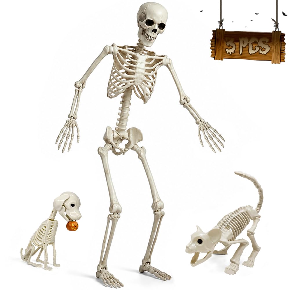 5.4FT Life Size Skeleton with Cat Dog, Plastic Skeleton for Halloween Decor