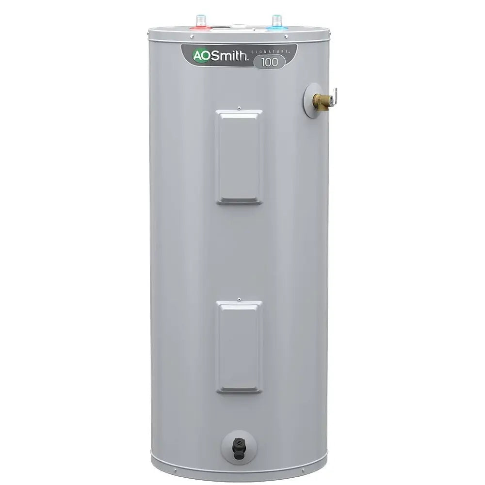 A.O. Smith Signature 100 30-Gallon Tall 4500-Watt Double Element Elect ...