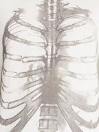 Halloween Boxy Fit Chest X-Ray Graphic Tee Shirt, Men's Sizes XS-4XLT