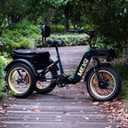 DWMEIGI Silverado 20 Foldable Fat Tire Electric Trike 48V/14AH 750W, 330LBS - MG2301