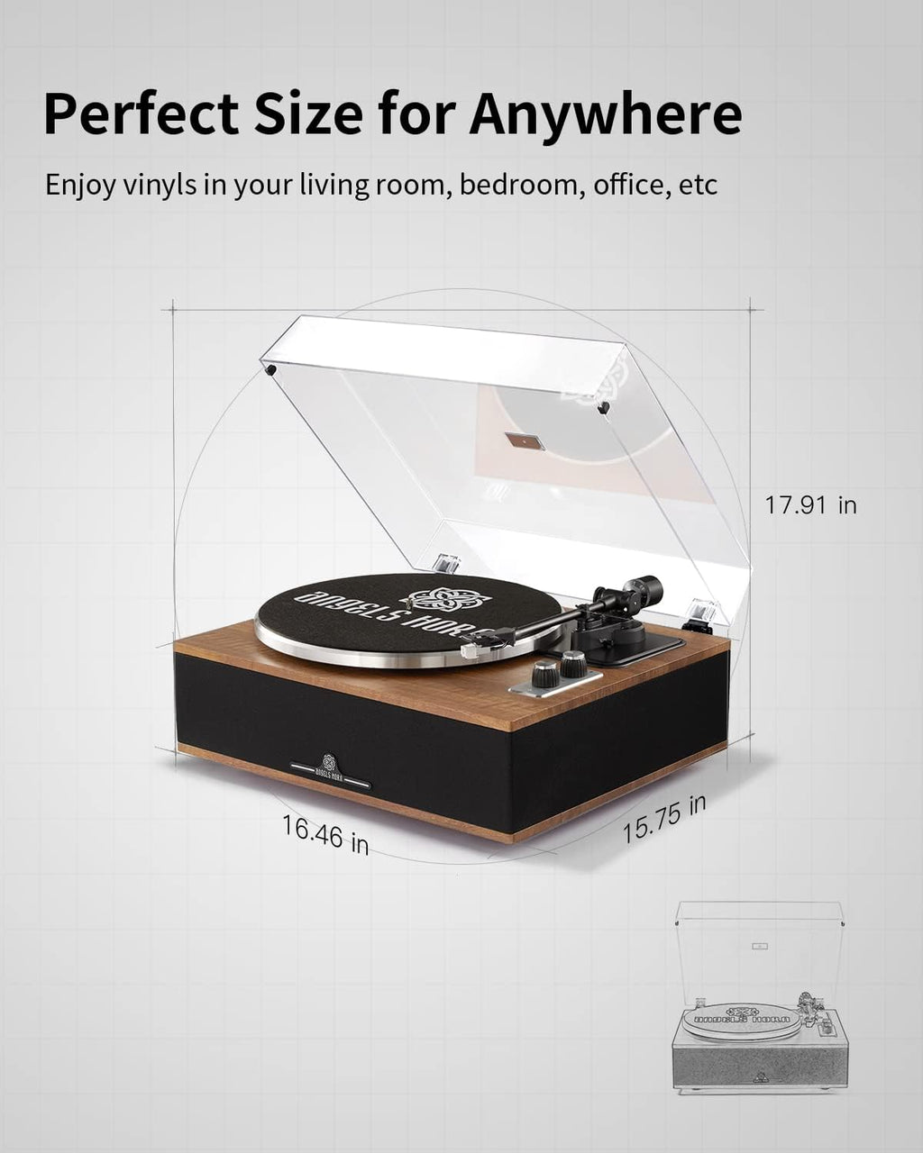 ANGELS HORN Vinyl Record Player, Bluetooth Turntable with Built in Speakers