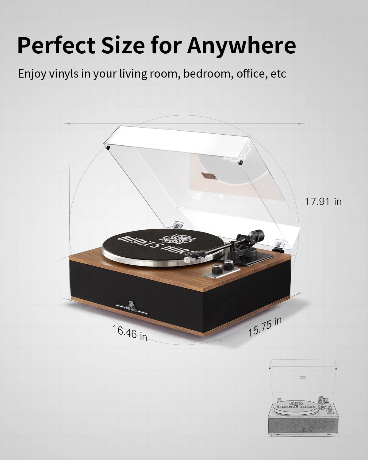 ANGELS HORN Vinyl Record Player, Bluetooth Turntable with Built in Speakers