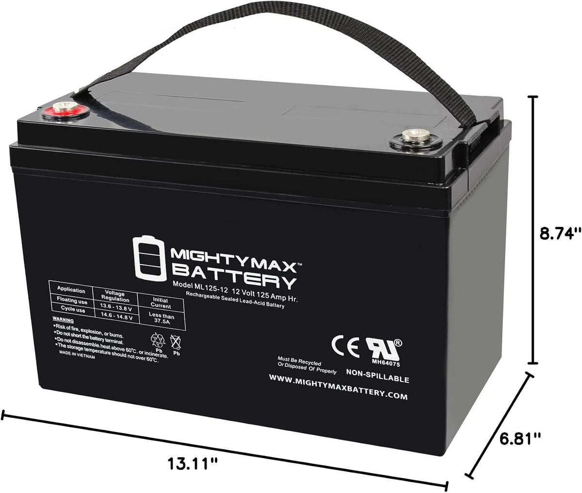 Mighty Max Battery 12V 125AH SLA Battery for Zoeller 508 Aquanot Backup Sump