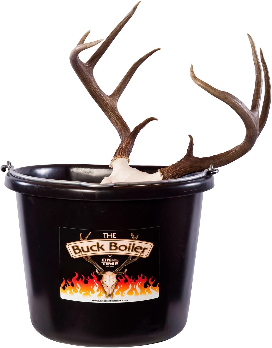 Buck Boiler