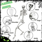 5.4FT Life Size Skeleton with Cat Dog, Plastic Skeleton for Halloween Decor