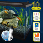 Tetra LED 10 Gallon Complete Fish Tank Kit