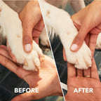 Dremel PawControl 7760-PET Dog Nail Grinder and Trimmer, Pet Grooming Kit