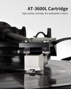 ANGELS HORN Vinyl Record Player, Bluetooth Turntable with Built in Speakers