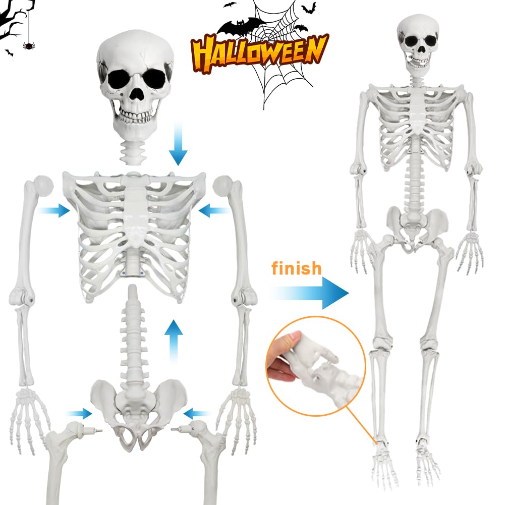 5.4FT Life Size Skeleton with Cat Dog, Plastic Skeleton for Halloween Decor