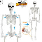 5.4FT Life Size Skeleton with Cat Dog, Plastic Skeleton for Halloween Decor