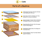 BeeCastle 10-Frame Bee Hives and Supplies Starter Kit,Beehive Kit Dipped in Beeswax,Bee Keeping Supplies-All Beginners Kit Includes Beekeeping