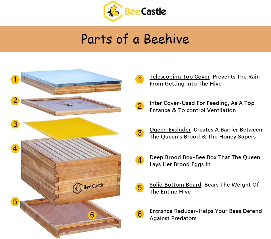 BeeCastle 10-Frame Bee Hives and Supplies Starter Kit,Beehive Kit Dipped in Beeswax,Bee Keeping Supplies-All Beginners Kit Includes Beekeeping
