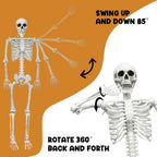 5.4FT Life Size Skeleton with Cat Dog, Plastic Skeleton for Halloween Decor