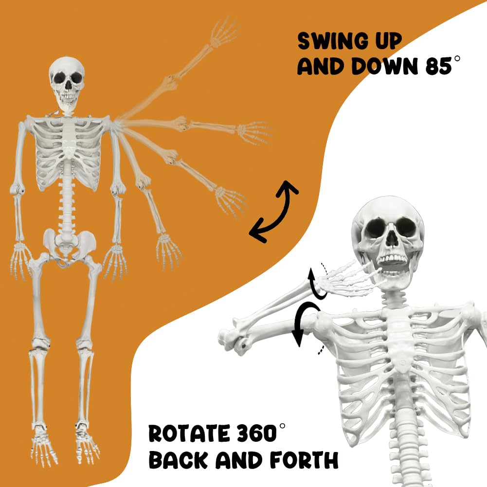 5.4FT Life Size Skeleton with Cat Dog, Plastic Skeleton for Halloween Decor