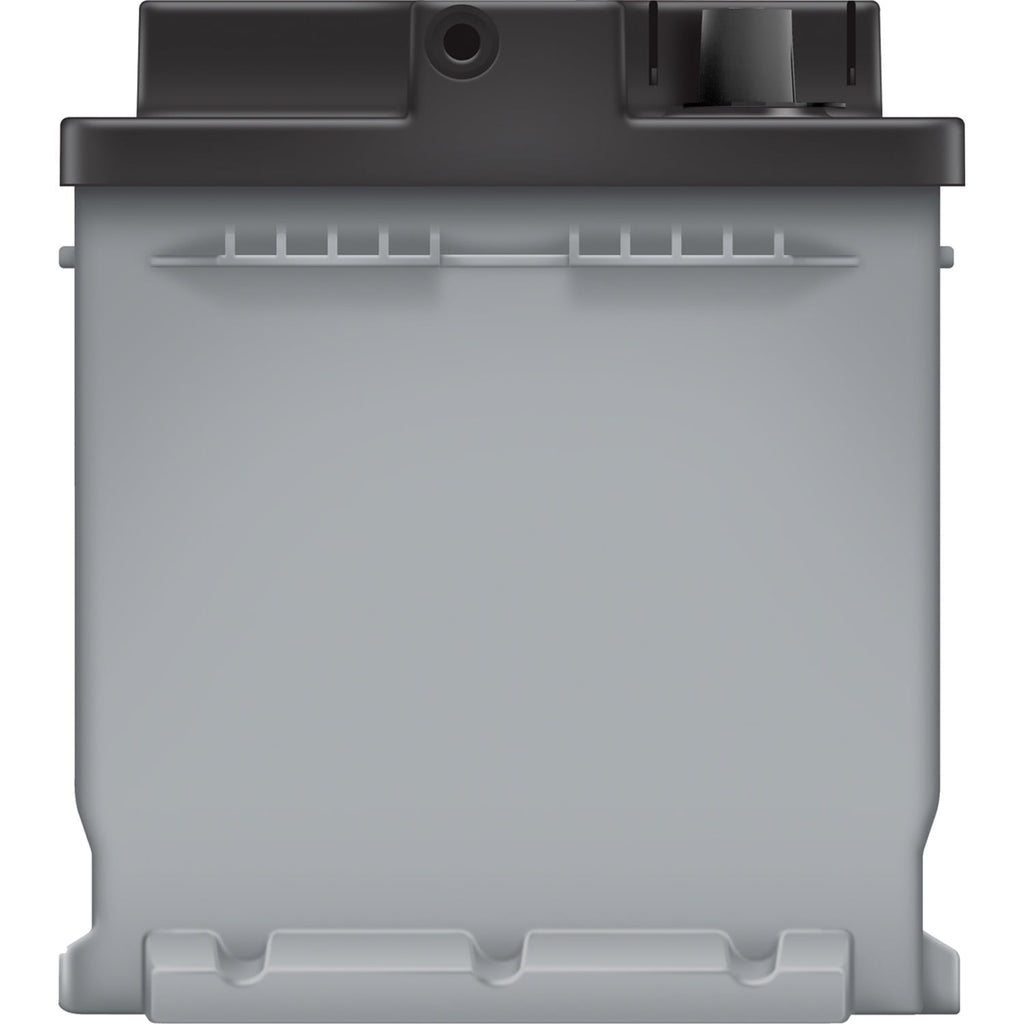 EverStart Platinum AGM Automotive Battery, Group Size H8 / LN5 / 49, 12 V, 900 CCA