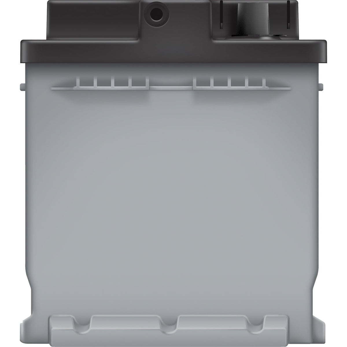 EverStart Platinum AGM Automotive Battery, Group Size H8 / LN5 / 49, 12 V, 900 CCA