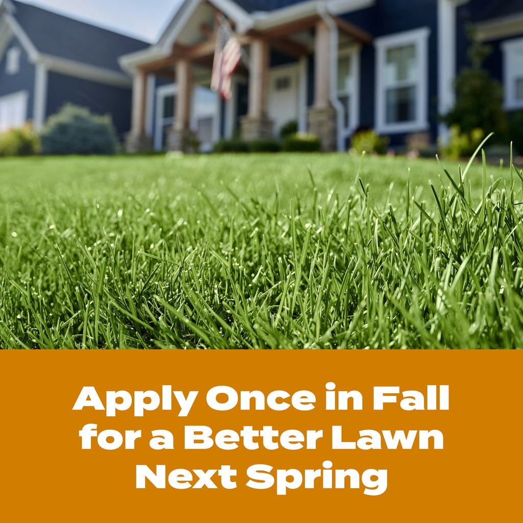 Scotts Turf Builder WinterGuard Fall Weed & Feed, Weed Killer Plus Fall Fertilizer, 12,000 sq. ft., 33.84 lbs.