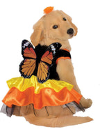 Rubies Monarch Butterfly Pet Costume for Dogs or Cats, Large