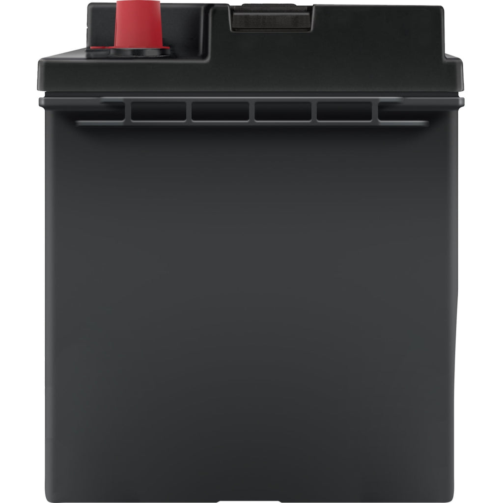 EverStart Plus Lead Acid Automotive Battery, Group Size 96R, 12 V, 590 CCA