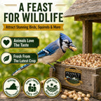 Wakefield Virginia Peanuts for Birds Shelled Raw Unsalted 45LB