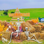 5.4FT Life Size Skeleton with Cat Dog, Plastic Skeleton for Halloween Decor
