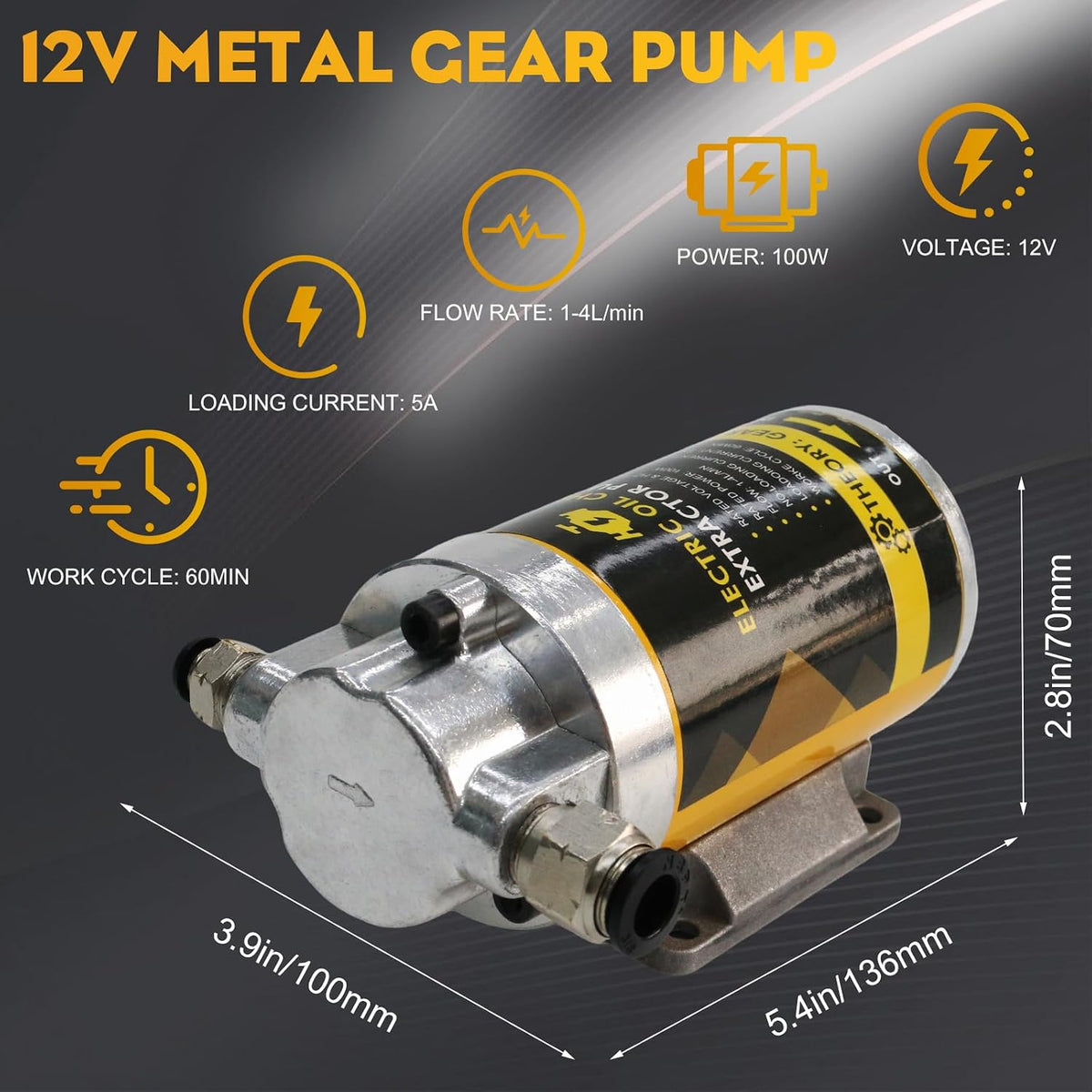 Electric Oil Change Pump, Oil Extractor Pump 12/24V 100W