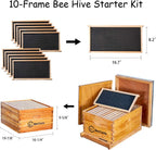 BeeCastle 10-Frame Bee Hives and Supplies Starter Kit,Beehive Kit Dipped in Beeswax,Bee Keeping Supplies-All Beginners Kit Includes Beekeeping