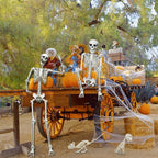 5.4FT Life Size Skeleton with Cat Dog, Plastic Skeleton for Halloween Decor