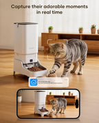 Automatic Cat Feeder with Camera - 7L/29 Cups Auto Dog Feeder with Large Food Tray & 1080P Night Vision, Elevated Bowl, 2-Way Audio, 10s Voice