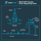 Cash Acme EB45 Pressure Regulating Valve, Double Union, 3/4 Inch NPT Female, Poly Top, 60 PSI, PVA16P-DUTH-60, Brass