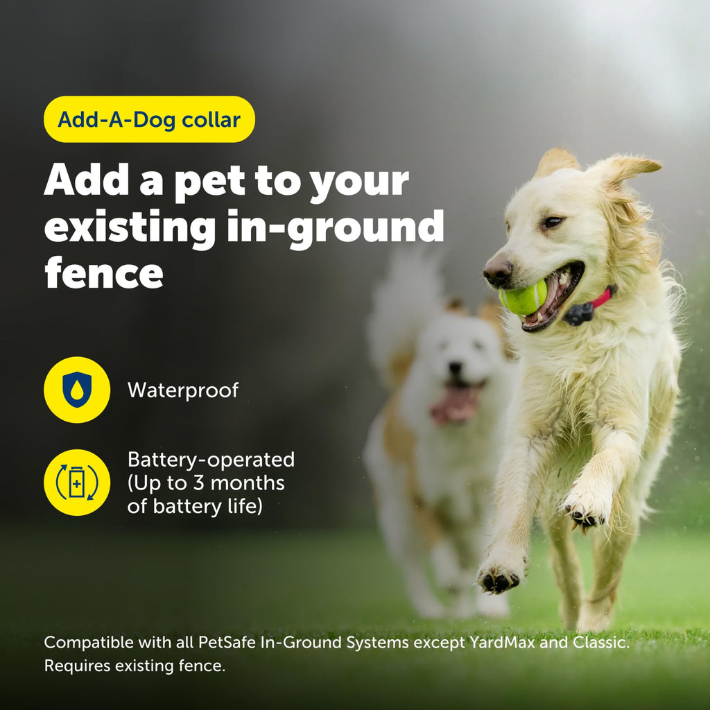 PetSafe Ultralight Collar In-Ground Fence