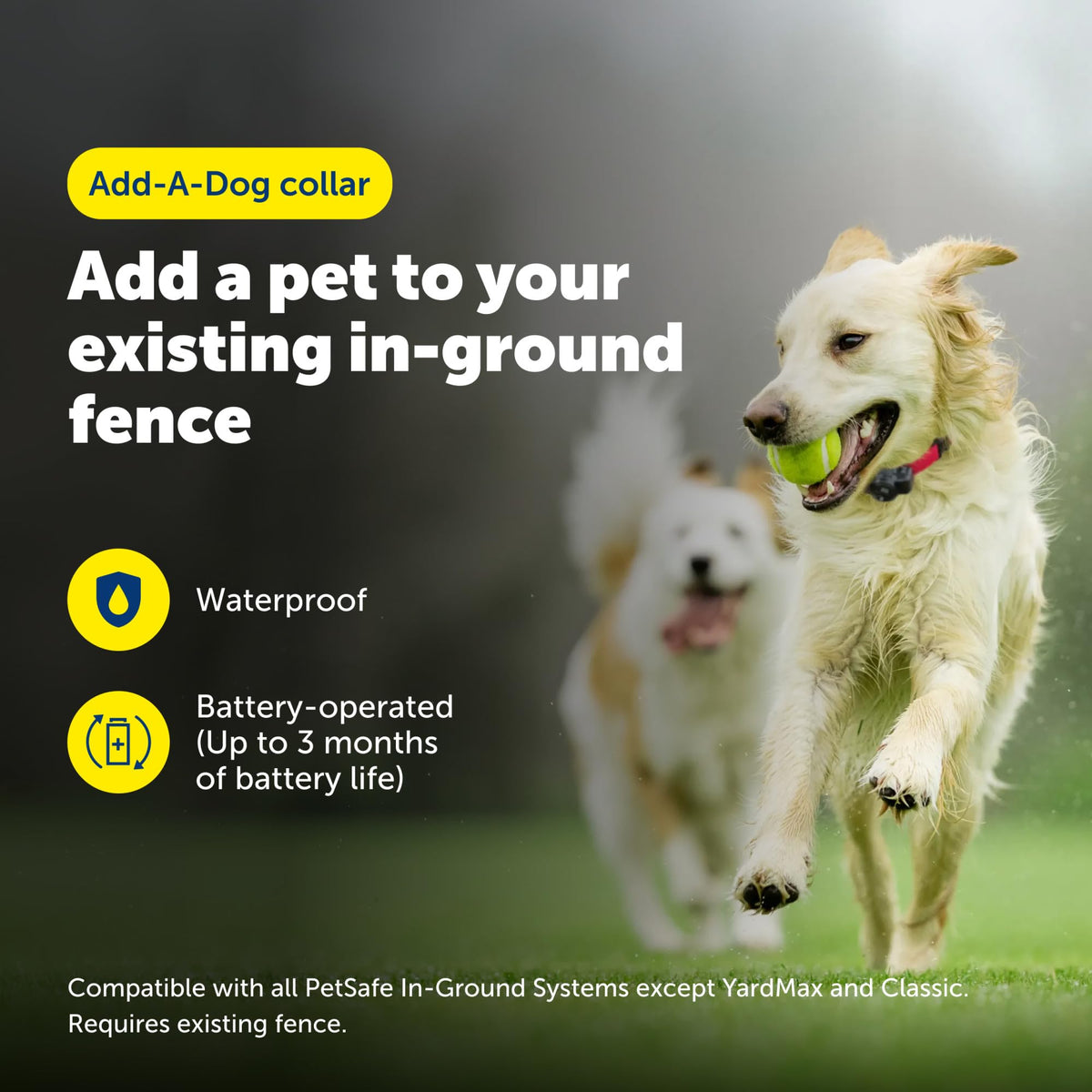 PetSafe Ultralight Collar In-Ground Fence