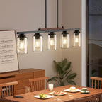 Amico 5-Light Dining Room Light Fixture, Seeded Glass Island Chandelier