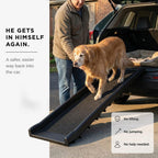 Dog Ramp for Car, 62" Long & 16" Wide Portable Dog Ramps