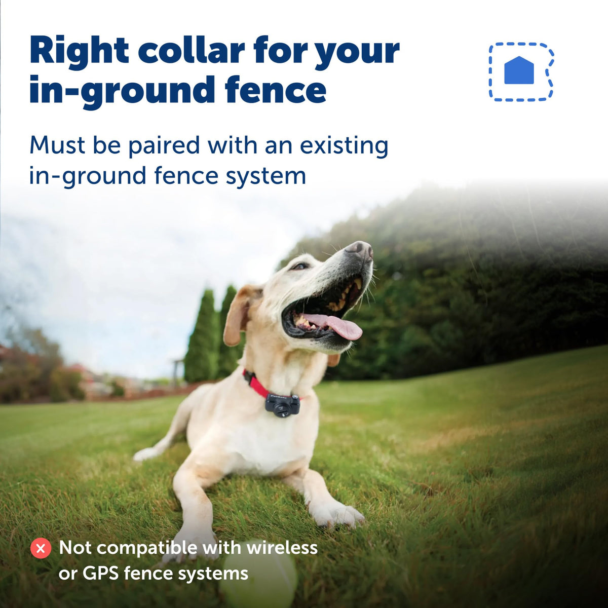 PetSafe Ultralight Collar In-Ground Fence
