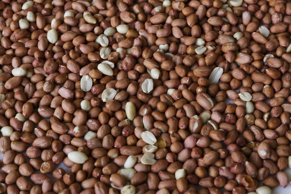 Wakefield Virginia Peanuts for Birds Shelled Raw Unsalted 45LB