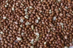 Wakefield Virginia Peanuts for Birds Shelled Raw Unsalted 45LB