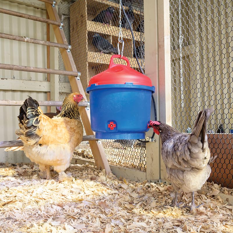 Premier 1 All-Season Heated Poultry Waterer for Chickens & Ducks – 3 Gallon