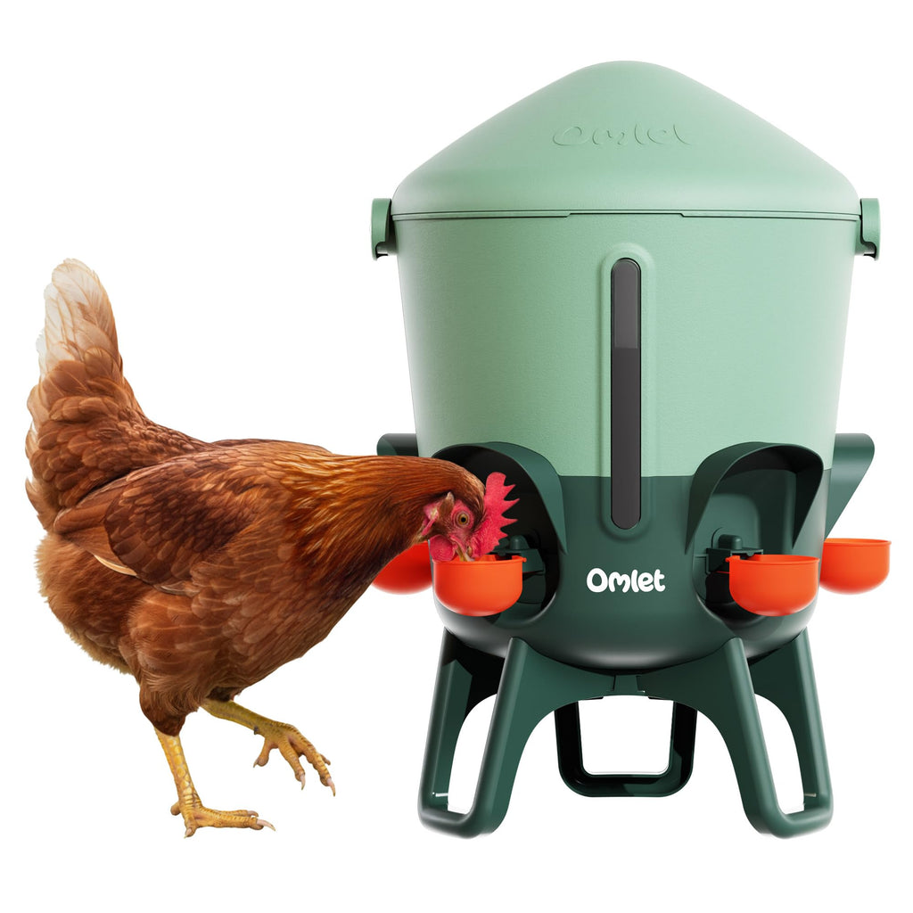 Omlet Insulated Chicken Waterer, 3 Gallon | Automatic Poultry Water Dispenser with 5 Cups & Nipples Included | BPA-Free | Anti-Roost Lid | Sage Green