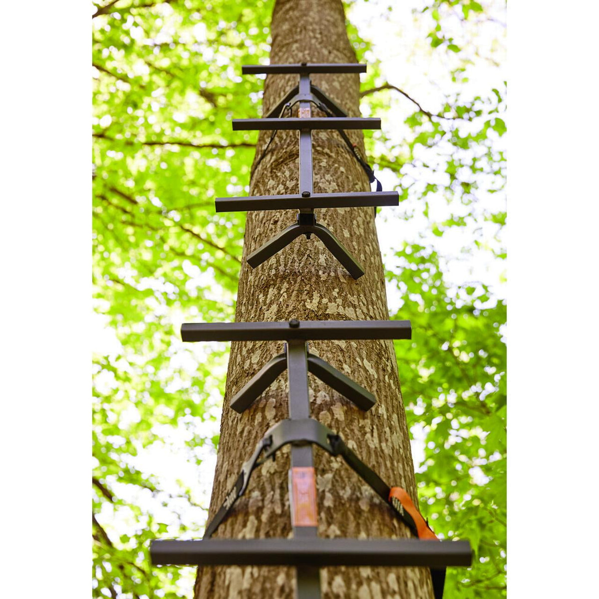 Guide Gear Quick Climbing Sticks, 3 Pack