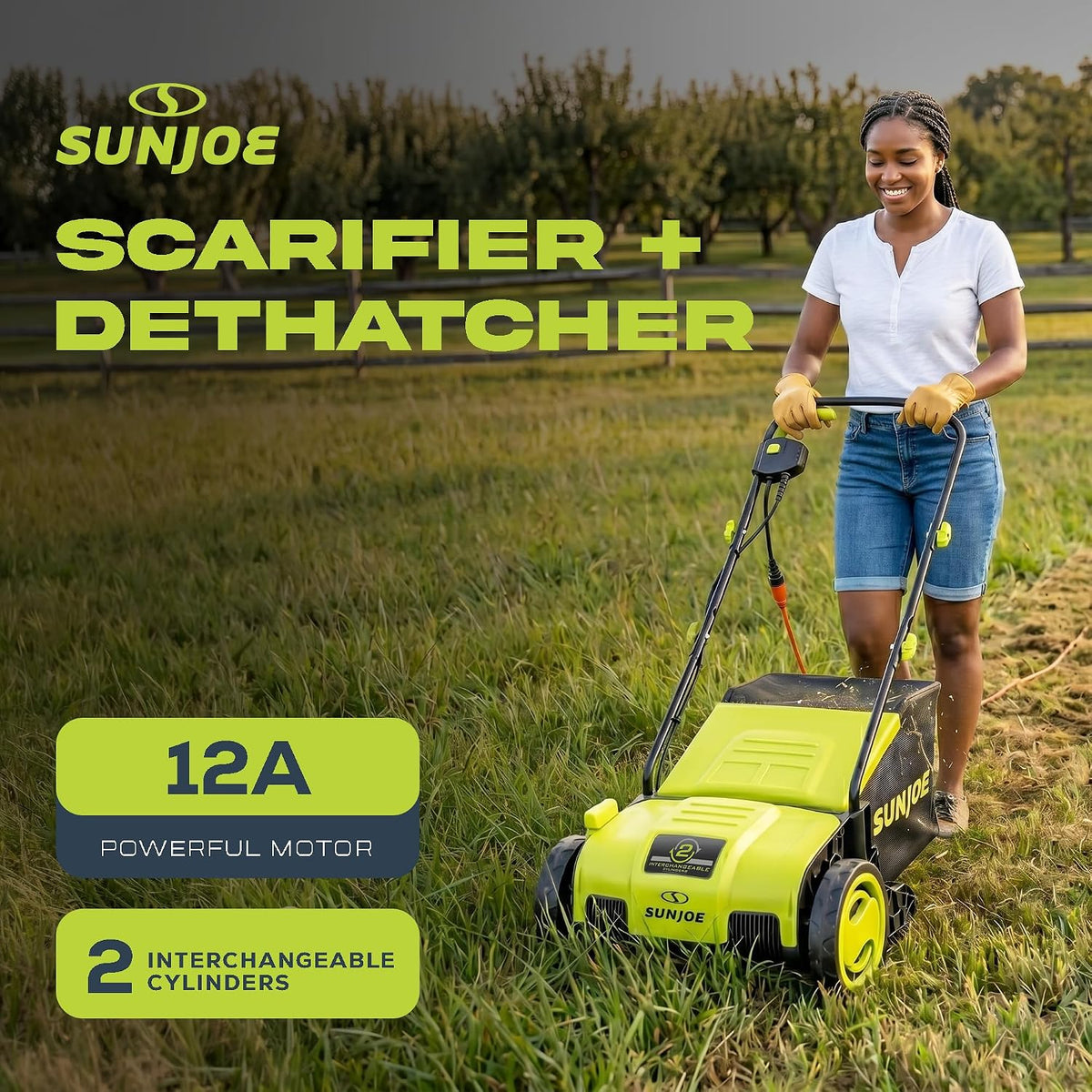 Sun Joe Corded Electric Lawn Dethatcher & Scarifier, 12-Amp, AJ798E