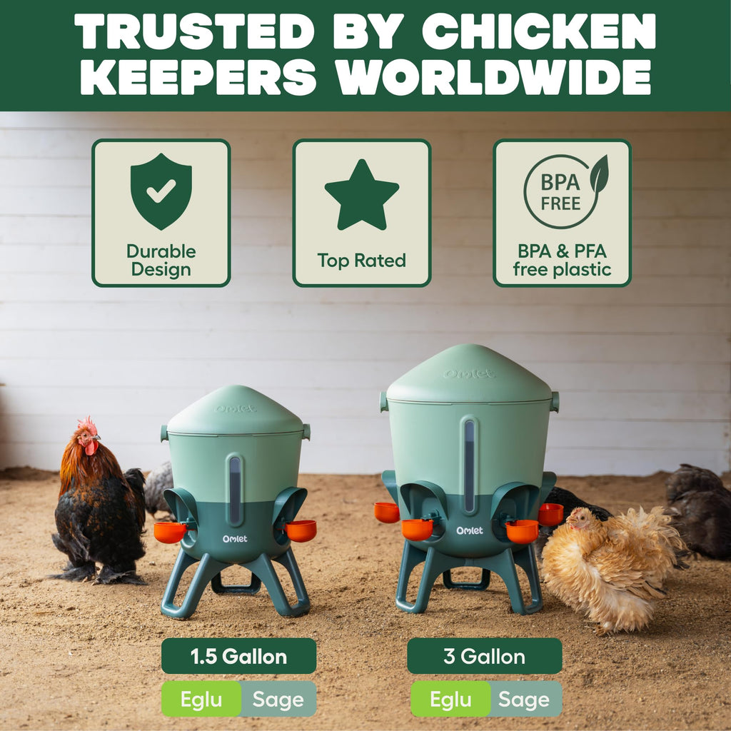Omlet Insulated Chicken Waterer, 3 Gallon | Automatic Poultry Water Dispenser with 5 Cups & Nipples Included | BPA-Free | Anti-Roost Lid | Sage Green