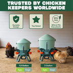 Omlet Insulated Chicken Waterer, 3 Gallon | Automatic Poultry Water Dispenser with 5 Cups & Nipples Included | BPA-Free | Anti-Roost Lid | Sage Green