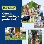 PetSafe Ultralight Collar In-Ground Fence